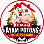 AYAM