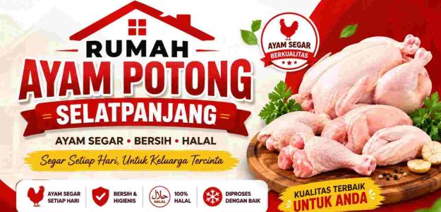 AYAM